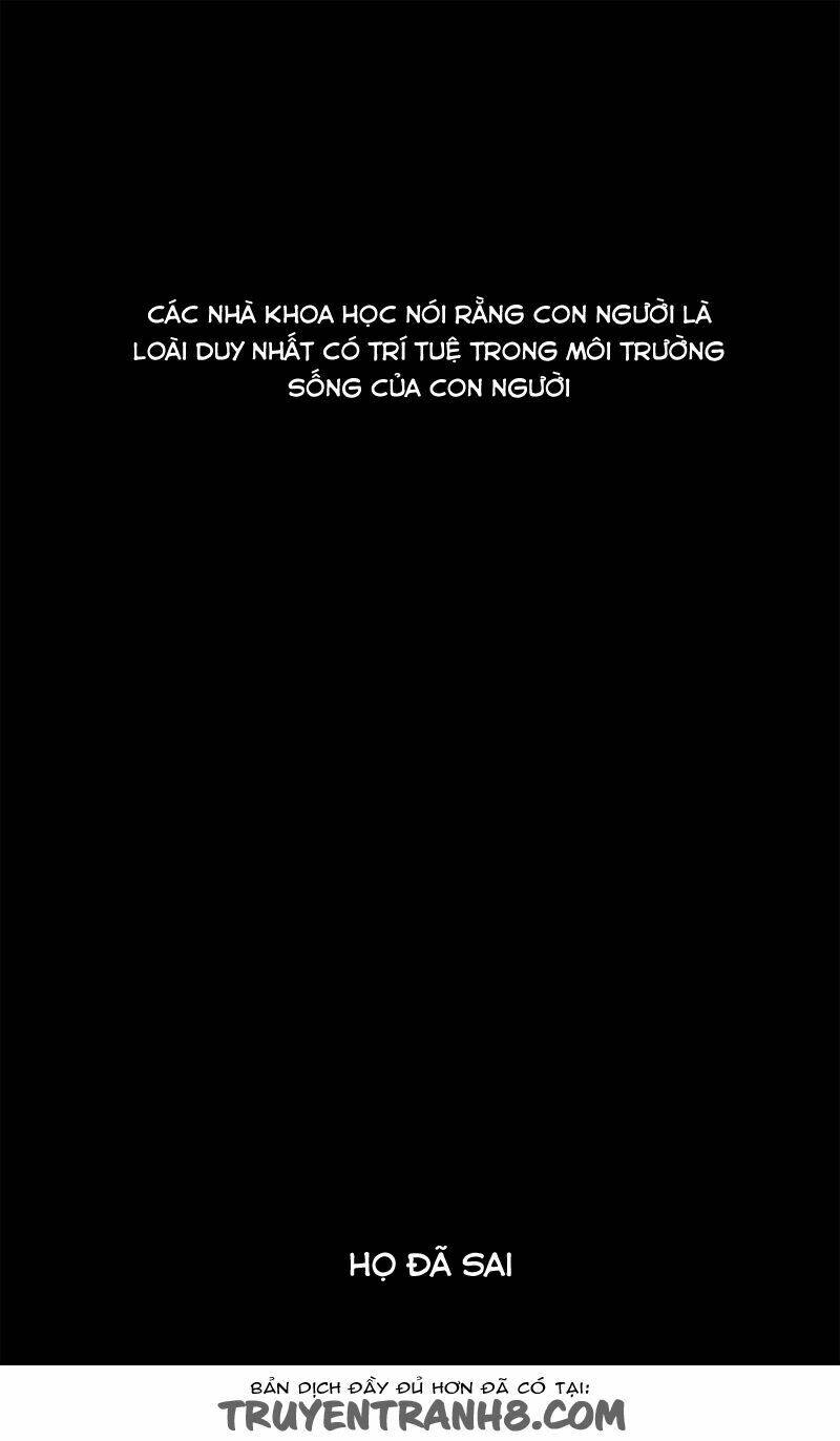 sinh tồn chapter 1 2