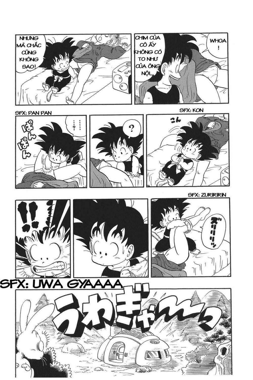 dragon ball - bảy viên ngọc rồng chapter 2 13