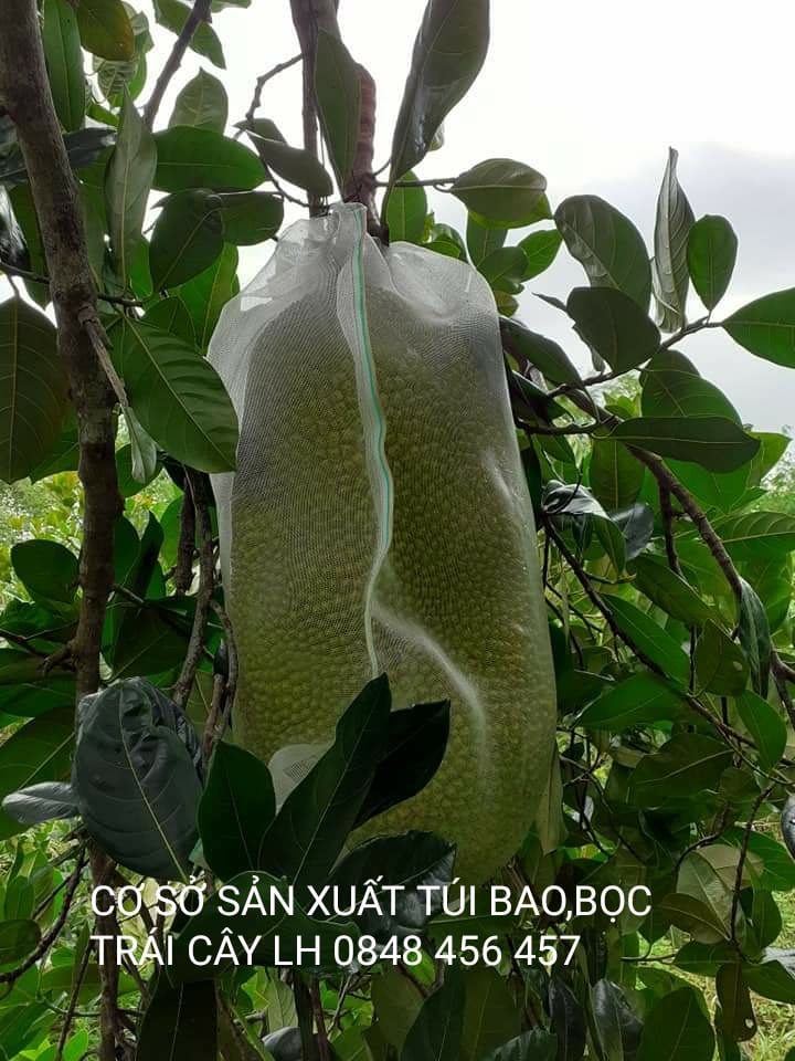 50 CÁI TÚI BAO,BỌC MÍT LƯỚI CƯỚC THÁI LOẠI TỐT 50*70 cm