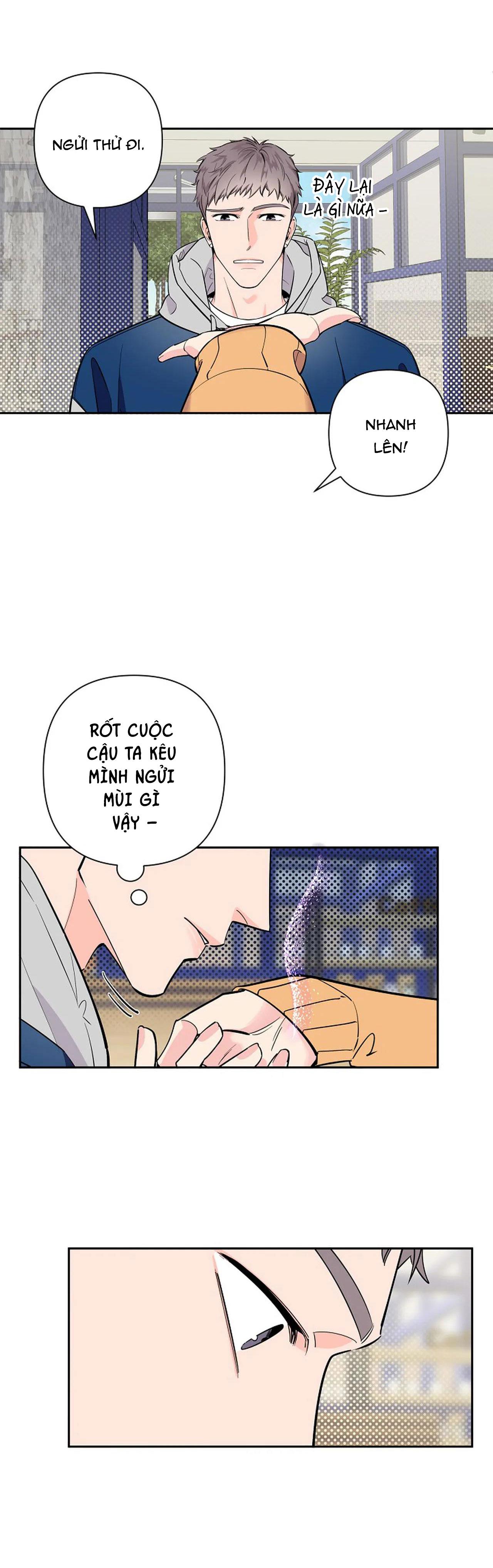 đêm dịu dàng chapter 22 8