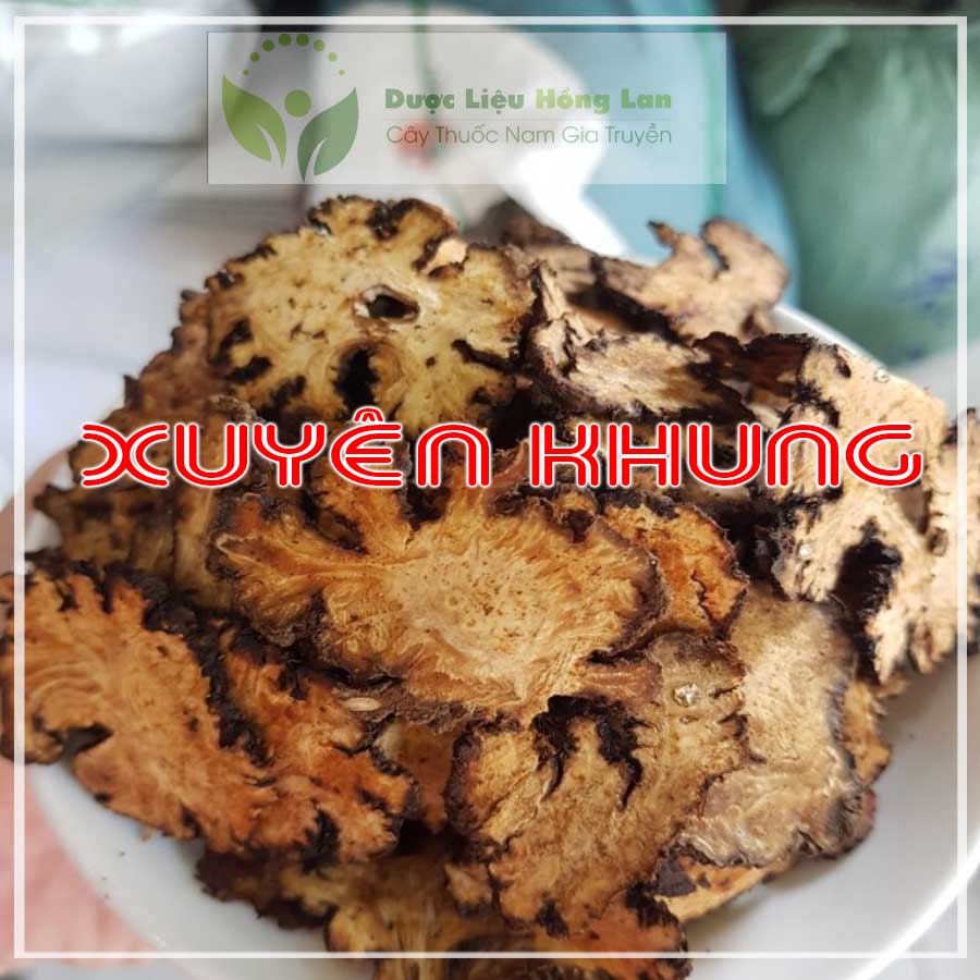 100gram Xuyên khung vị thuốc bắc khô sạch