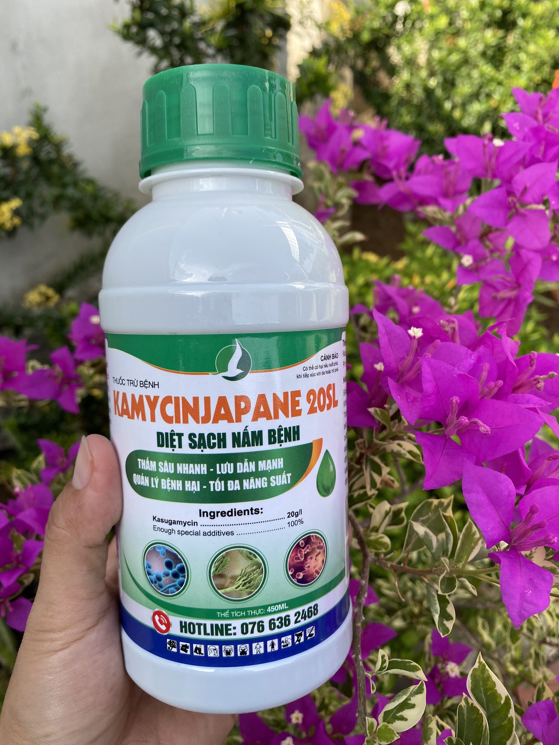 KAMYCIN JAPANE - THUỐC TRỊ NẤM KHUẨN