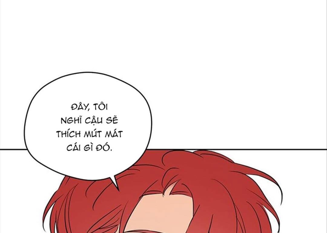 chuyện quái gì với giấc mơ đó vậy chapter 37 35