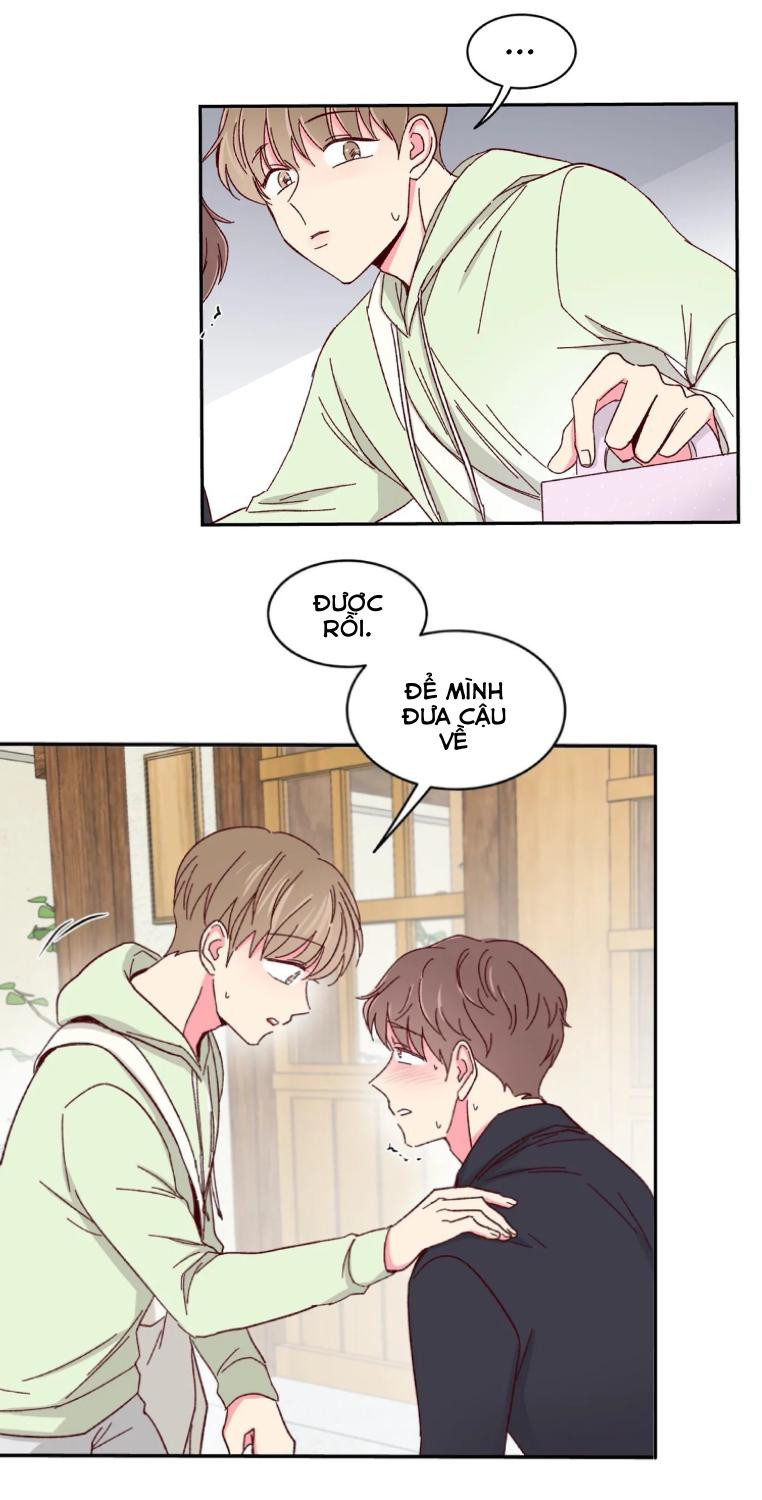 món tráng miệng của sếp tổng chapter 54 38