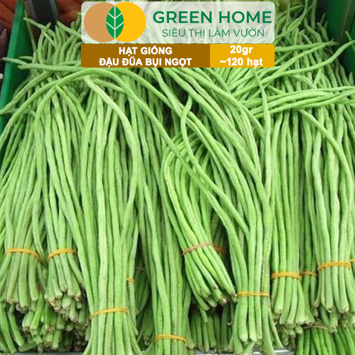 Hạt Giống Đậu Đũa Ngọt Lùn, Greenhome, Gói 20GR~120 hạt, Dễ Trồng Quanh Năm, Nảy Mầm Cao, T37