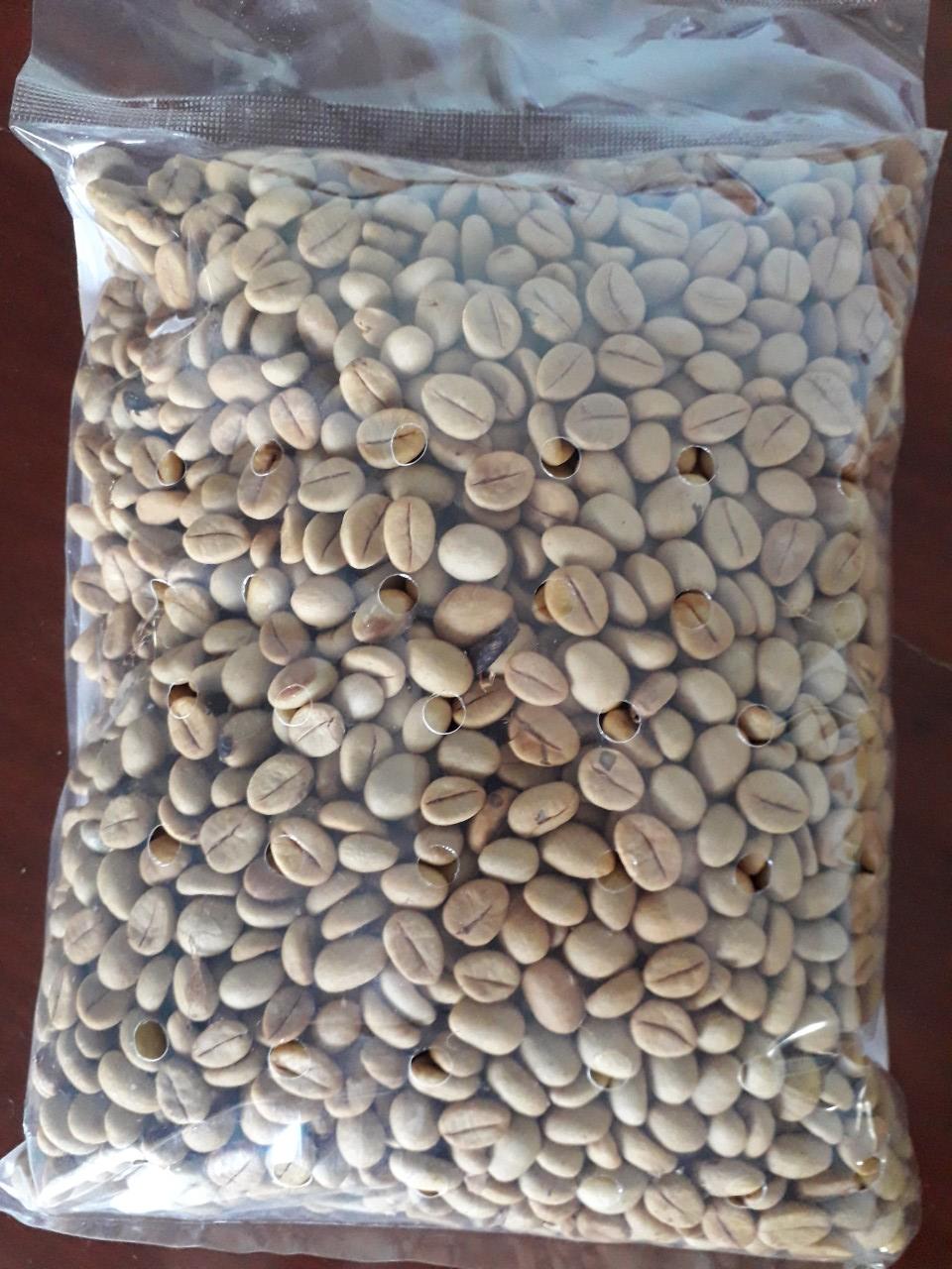 0,5 KG HẠT GIỐNG CÀ PHÊ XANH LÙN