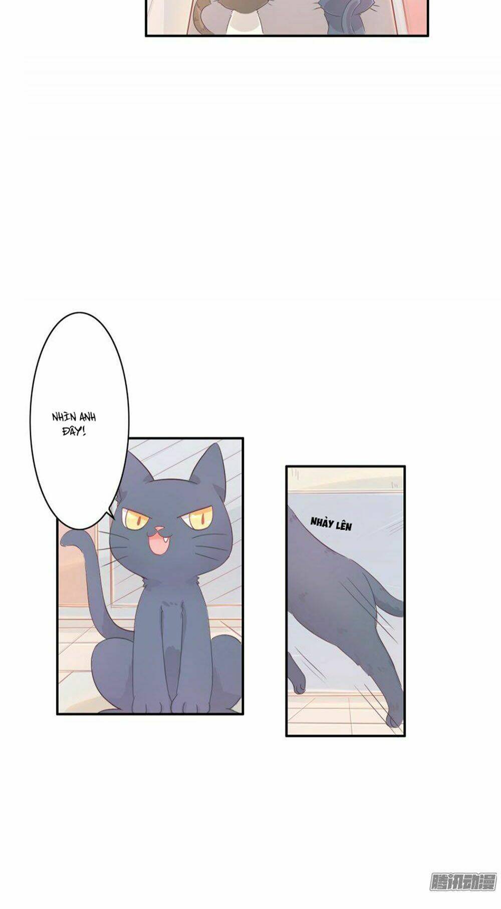 hai chú mèo totem chapter 1 49