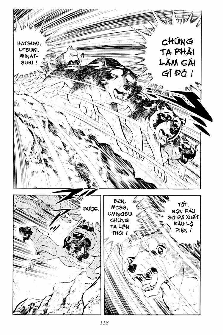 chú chó có nghĩa - ginga nagareboshi gin chapter 33.1 13