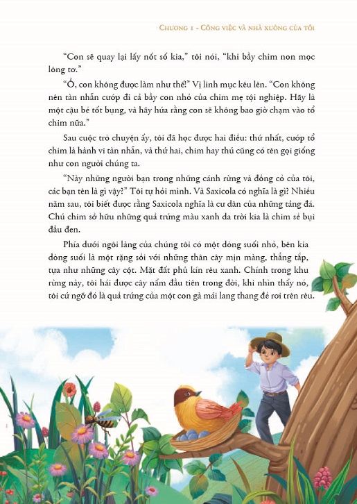 Côn Trùng Ký Của Fabre