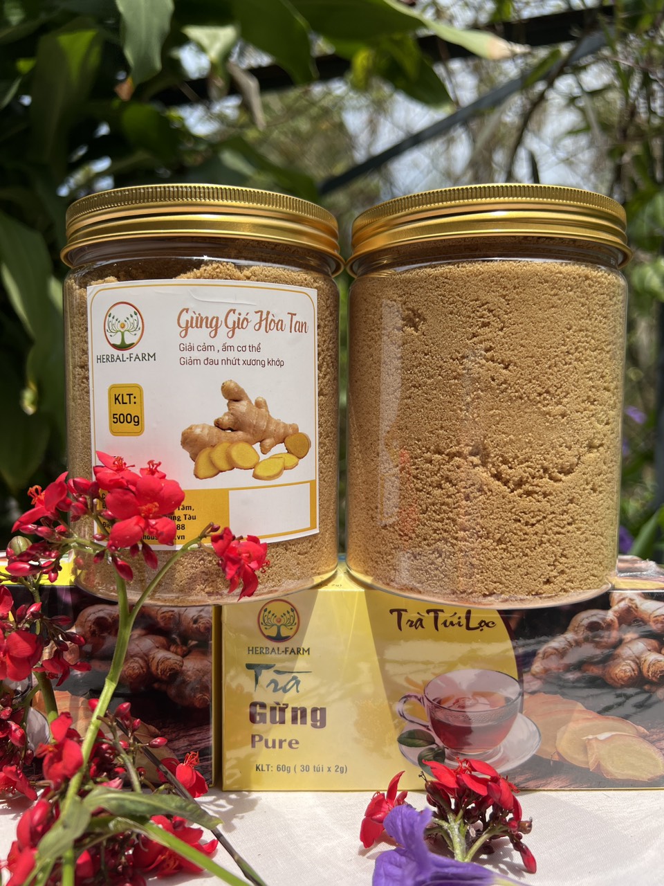 TRÀ GỪNG GIÓ HÒA TAN HERBAL FARM  - 500G