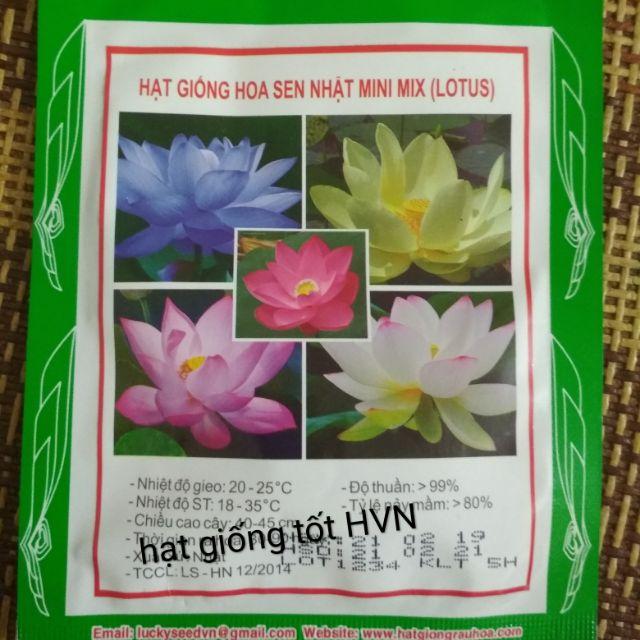 Hạt giống hoa sen nhật mini mix