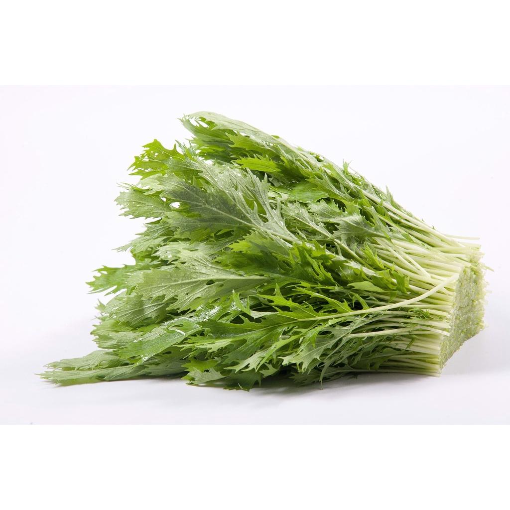 Hạt giống Cải Đuôi Phụng - Mizuna xanh