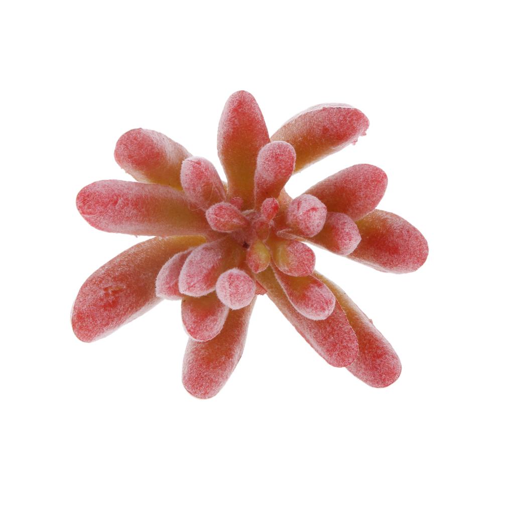 Artificial Mini Plant Flower Succulent Lotus Grass Garden Landscape #1 Red