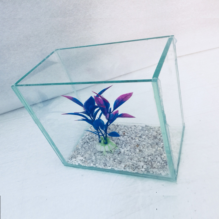 Bể cá mini để bàn 15x10x15cm - Tặng phụ kiện