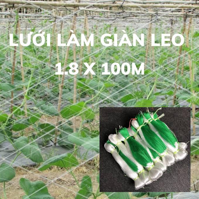 LƯỚI LÀM GIÀN LEO CHO DƯA LEO , BẦU , BÍ MƯỚP, CHẤT LIỆU DÂY CƯỚC