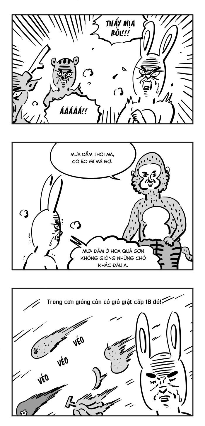 bựa du kí chapter 2 11