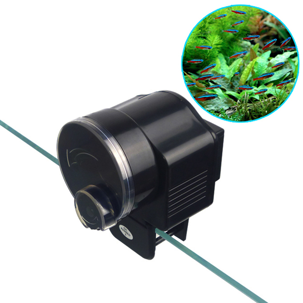 Máy cho cá ăn tự động AF-2003