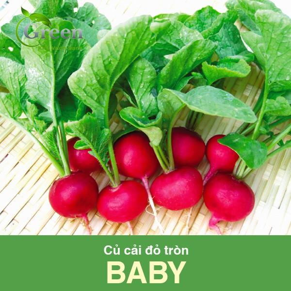 Hạt Giống Củ Cải Đỏ Tròn Baby