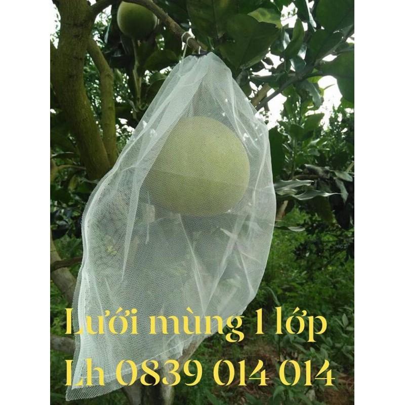 100 BỌC BƯỞI LƯỚI MÙNG 2 LỚP CỠ 30x40
