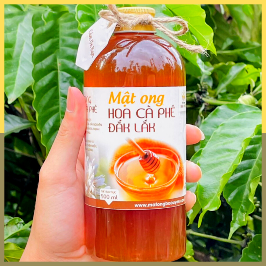 Mật Ong Hoa Cà Phê Nguyên Chất Bảo Uyên Chống Oxy Hóa Tăng Cường Sức Đề Kháng Loại Chai Dung Tích 500ml