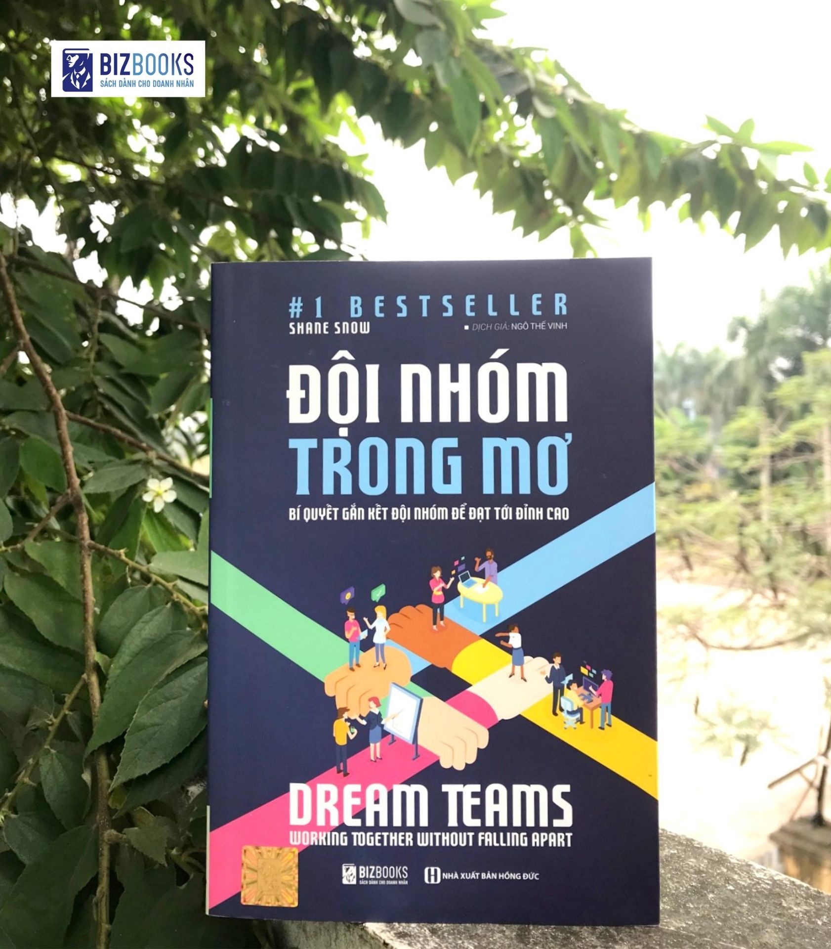 Đội Nhóm Trong Mơ - Bí quyết Gắn Kết Đội Nhóm Để Vươn Tới Đỉnh Cao