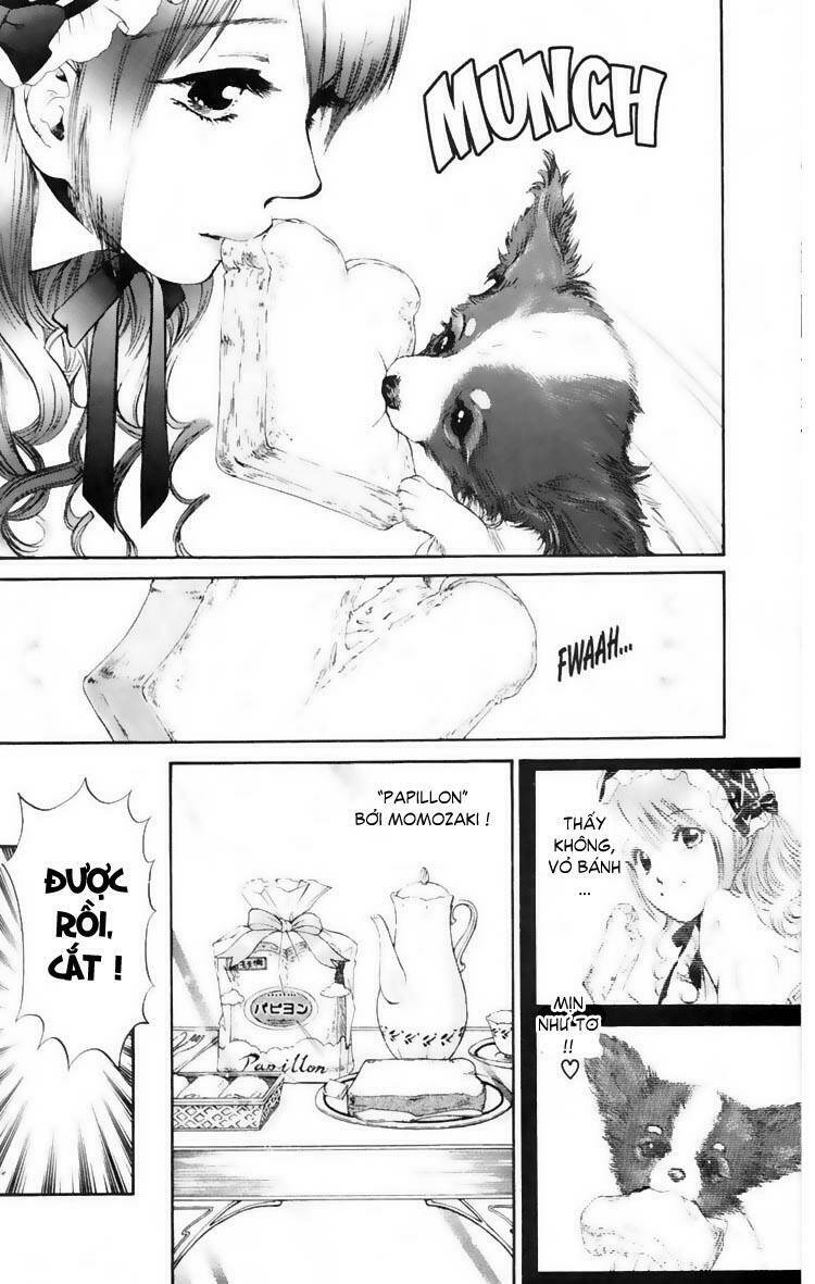 cô nàng yêu chó chapter 13 6