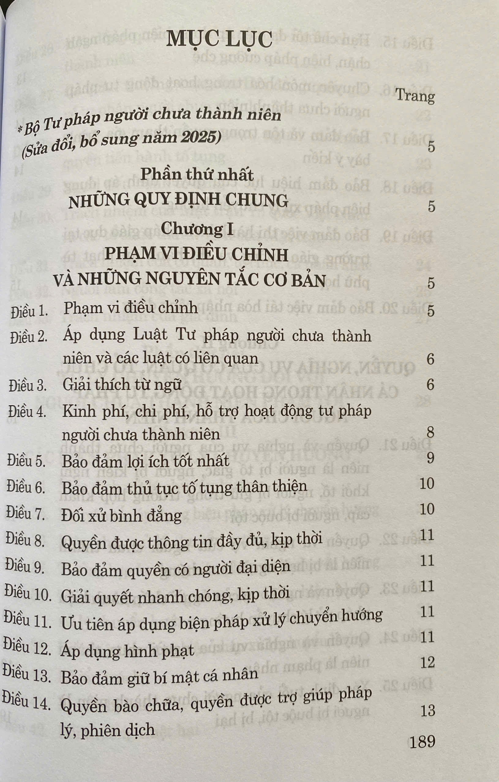 Luật Tư Pháp Người Chưa Thành Niên ( Sửa Đổi, Bổ Sung Năm 2025)