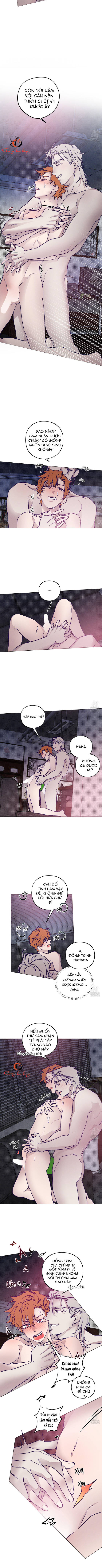 phi vụ nơi trại giam chapter 4 5