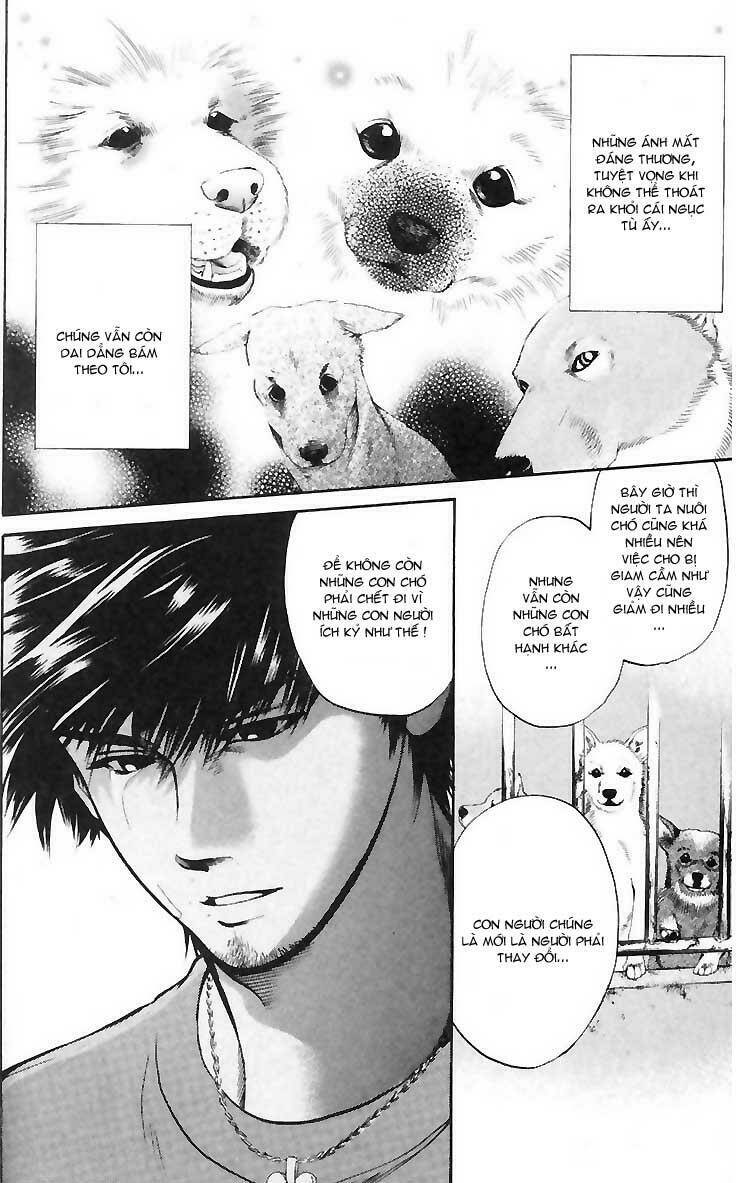 cô nàng yêu chó chapter 4 8