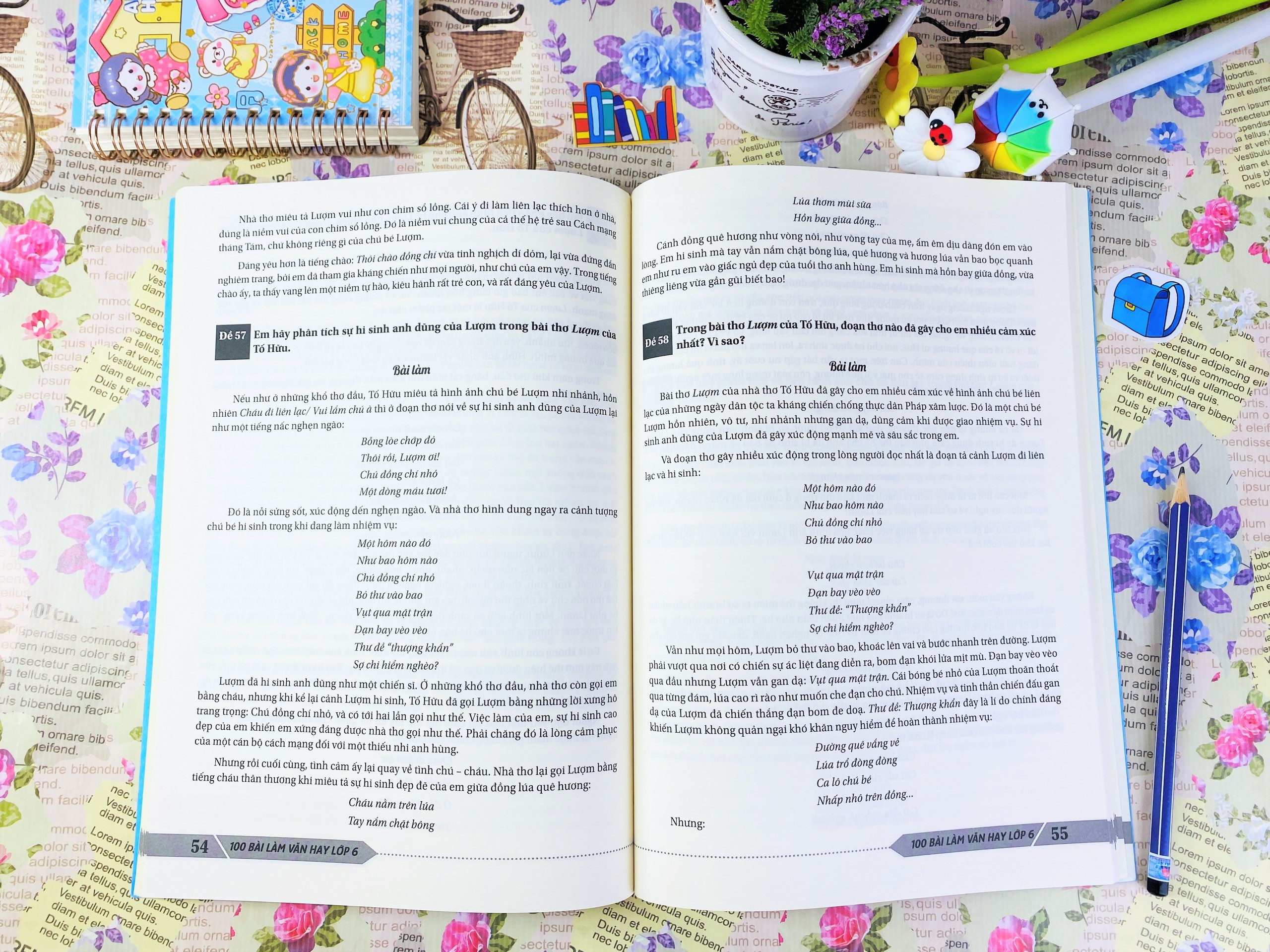 Sách 100 bài làm văn hay lớp 6 - ndbooks