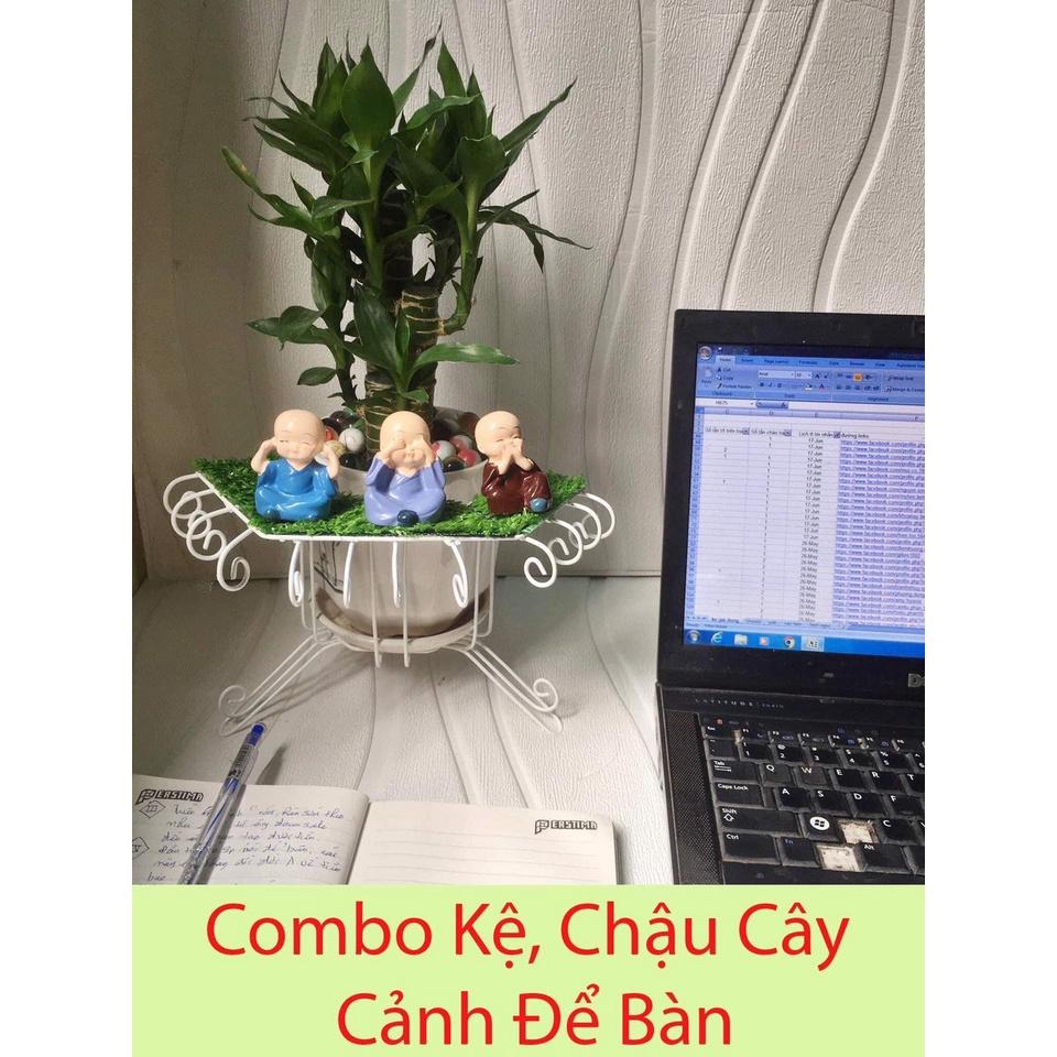 COMBO KỆ, CHẬU CÂY CẢNH TRÊN BÀN