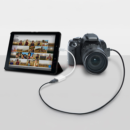 Cổng chuyển đổi TP-Link USB Type-C Sang USB-A UC400 - Hàng chính hãng