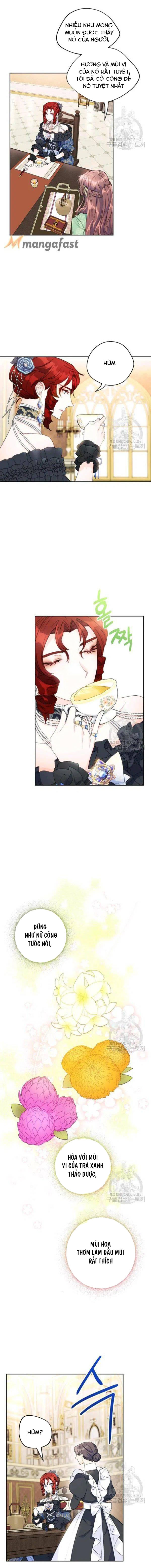 50 công thức pha trà của nữ công tước chapter 108 9