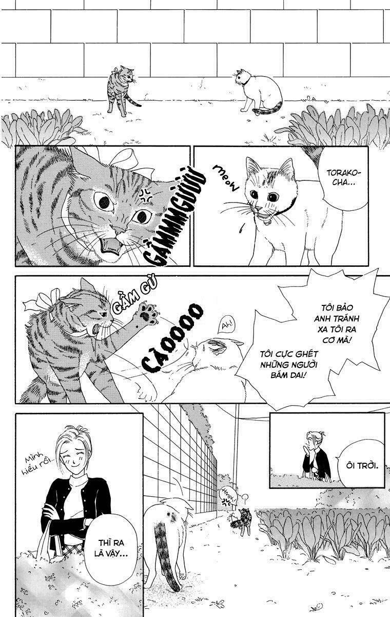 cuộc sống thường nhật của mèo zaccho chapter 1 14