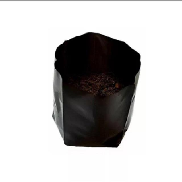 1kg TÚI BẦU ƯƠM CÂY