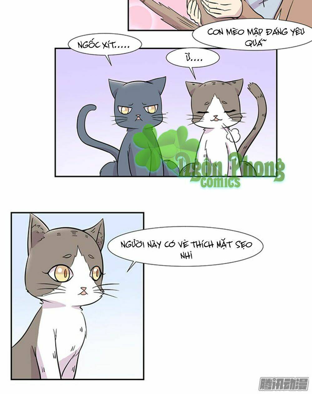 hai chú mèo totem chapter 23 9
