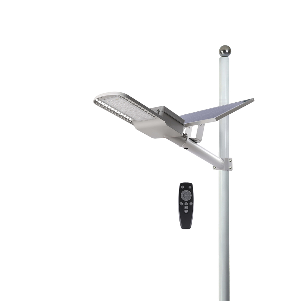 Đèn đường năng lượng mặt trời Rạng Đông các công suất, model CSD01.SL.RF