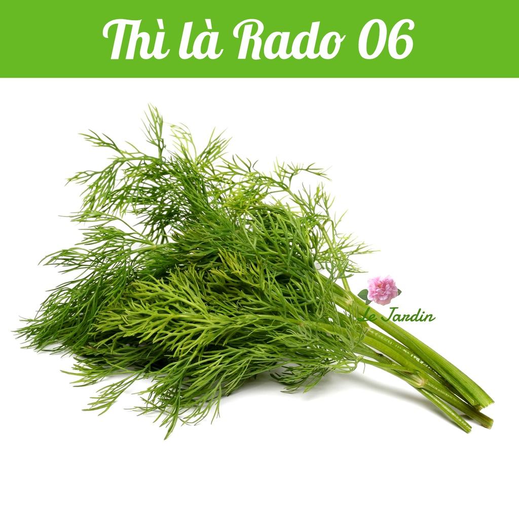 Hạt giống thì là gói 5gr