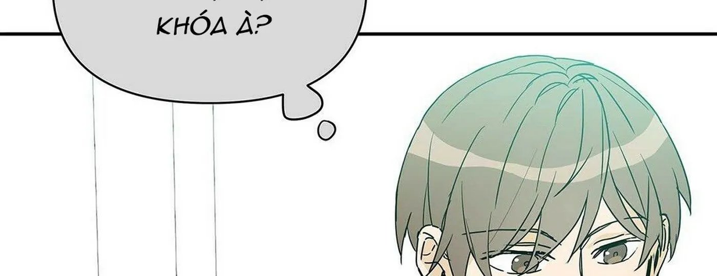 guide cấp b chapter 3 191