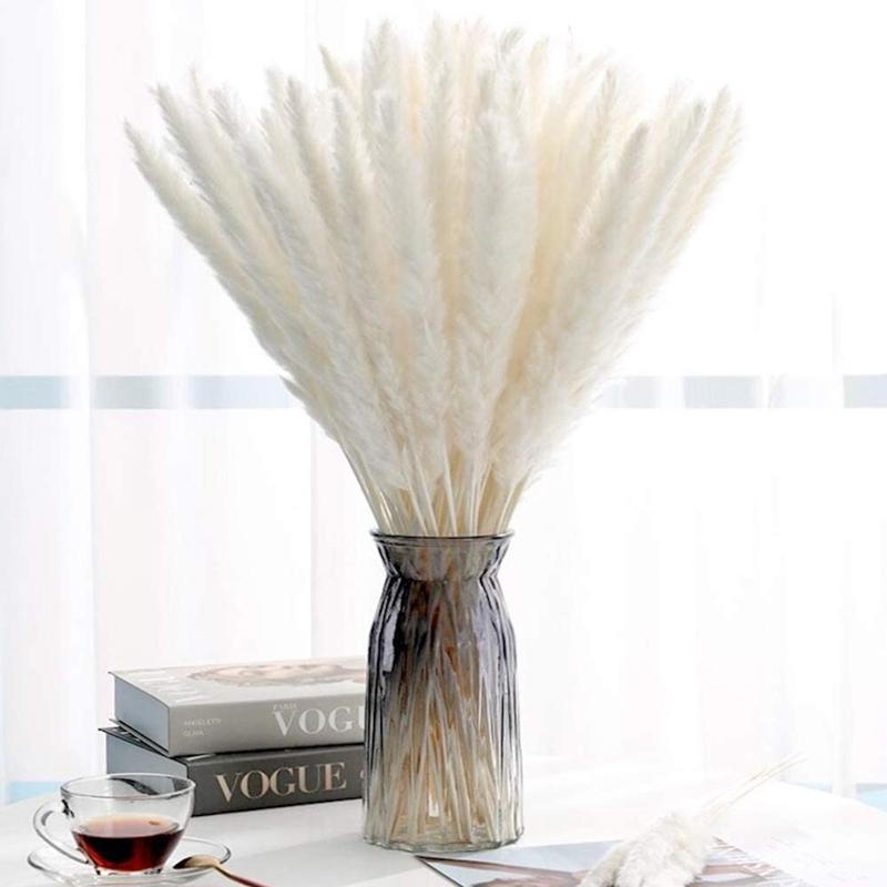 Pampas Cỏ 30 Chiếc Dekoration Hoa Khô Tự Nhiên Sậy Phragmites Chùm Communis Trang Trí Mộc Tặc Đánh Lagurus Ovatus