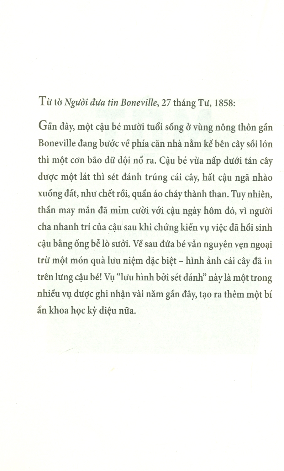 PONY CHÚ NGỰA DŨNG MÃNH – R.J.Palacio – Hồng Quyên dịch – NXB Trẻ (Bìa mềm)