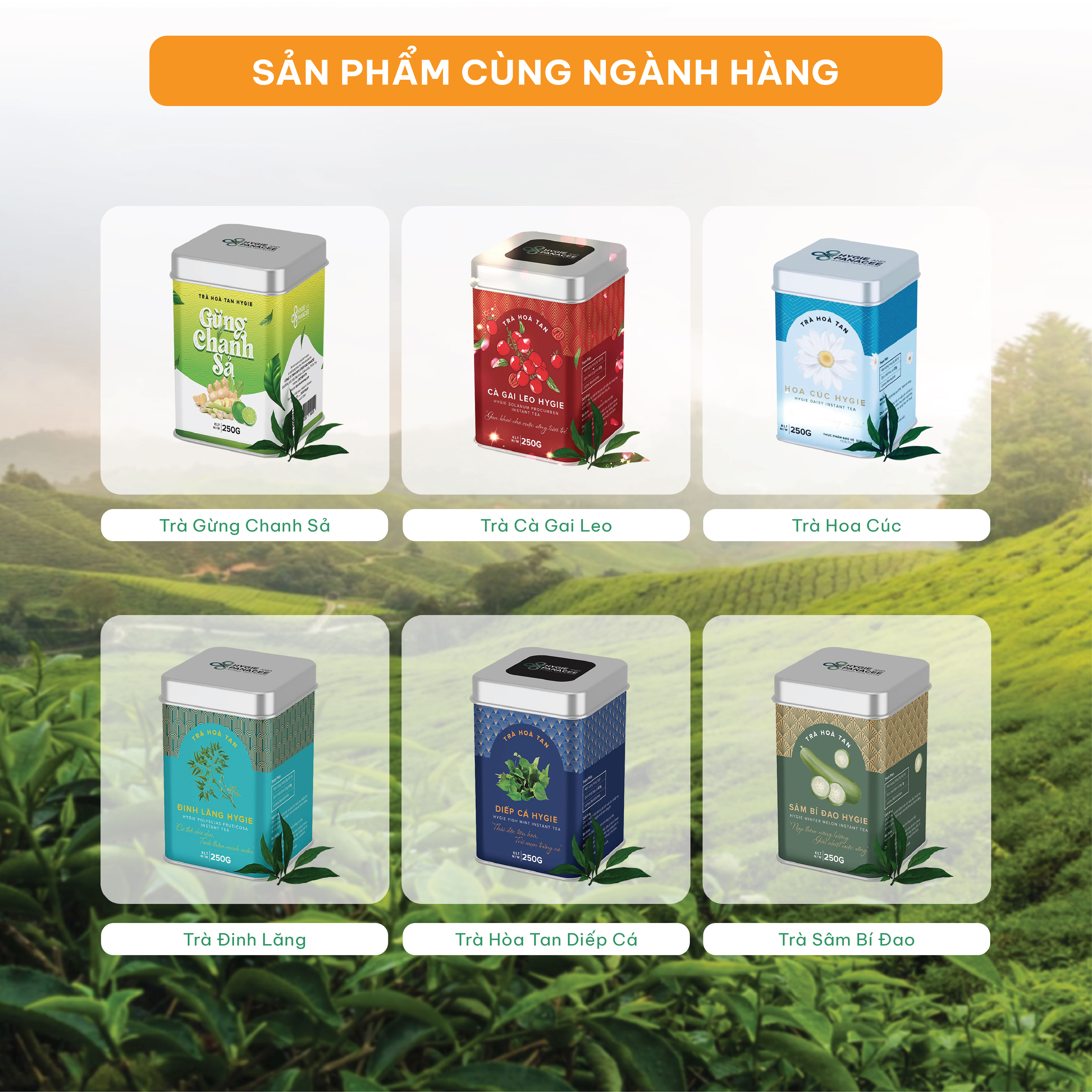 Trà Hygie&amp;Panacee mix 11 loại, hộp 24 Gói x 5g tốt cho sức khỏe