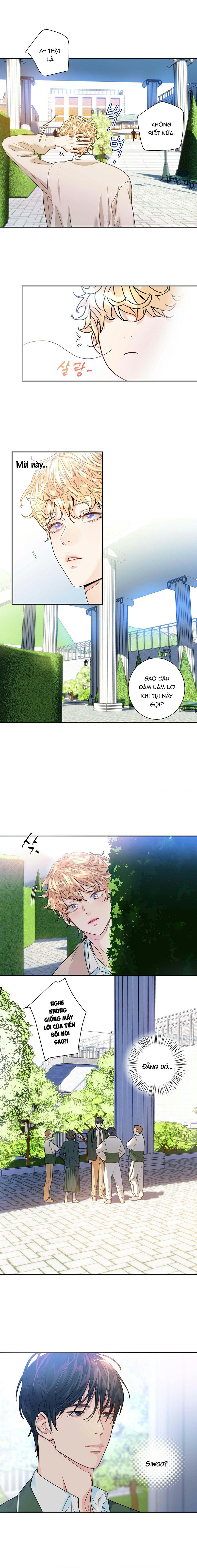 tình yêu là ảo ảnh chapter 2 12