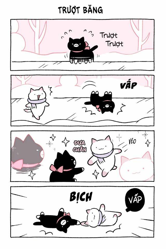 chú mèo kỳ diệu kyuu-chan chapter 533 2