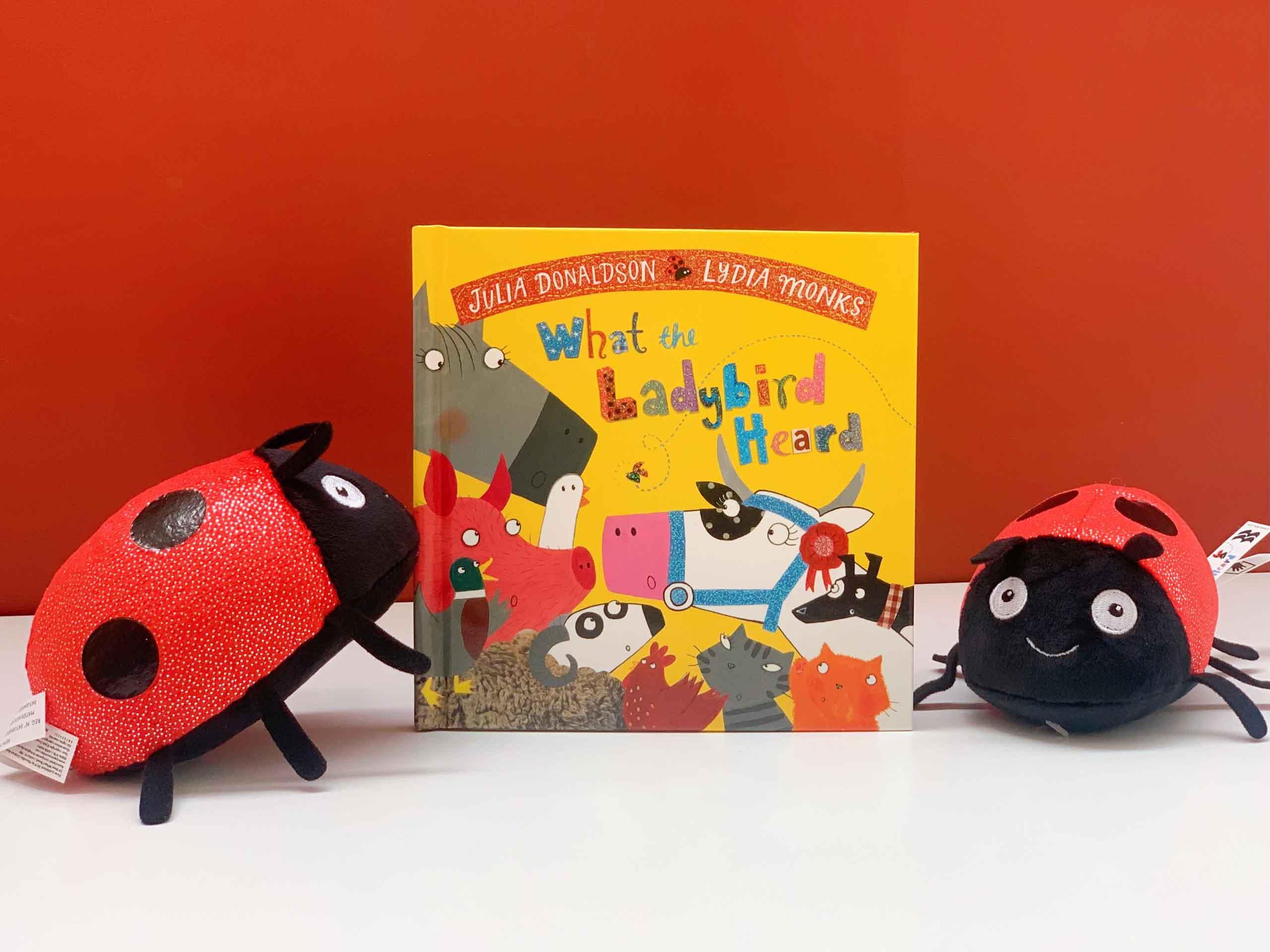 What the Ladybird Heard Book and Toy Gift Set