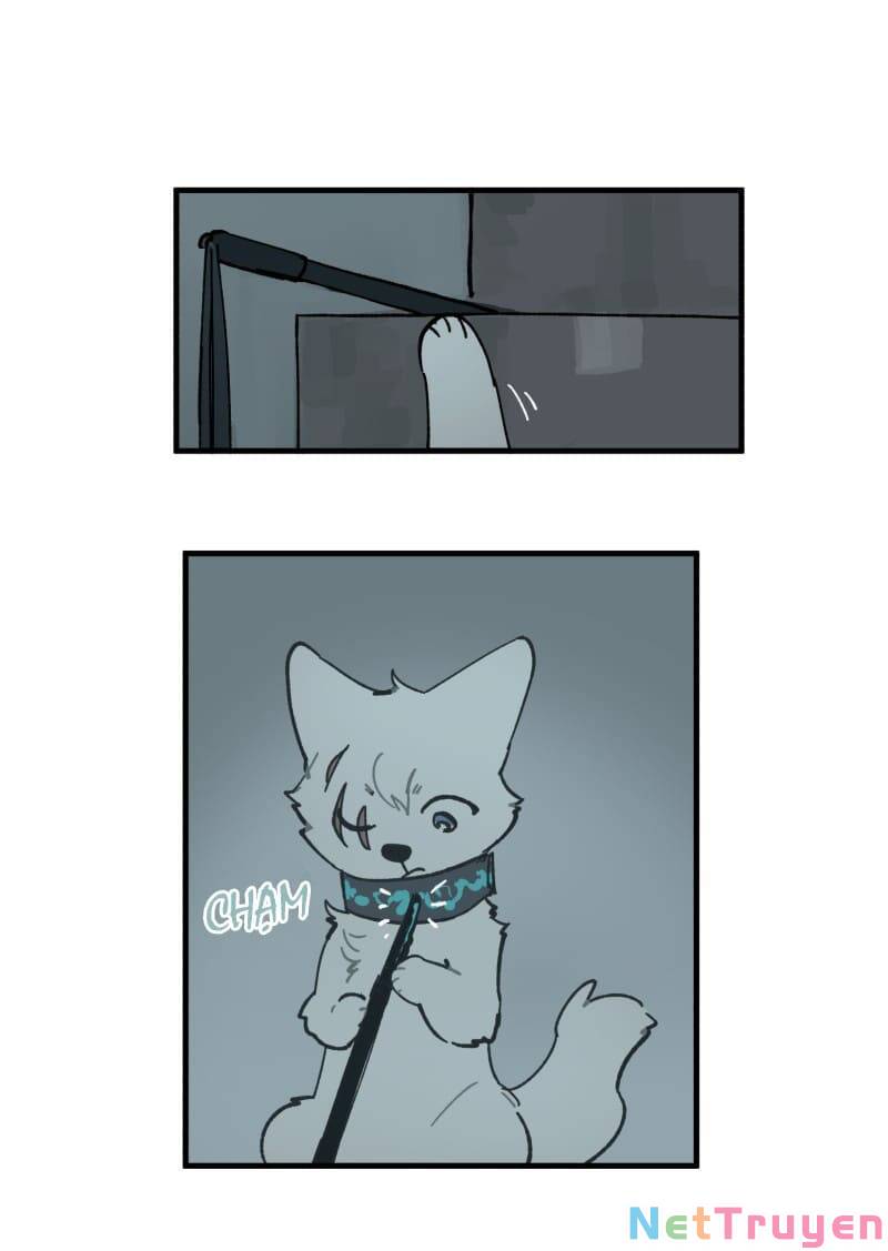 lumine - cội nguồn ánh sáng chapter 150 27