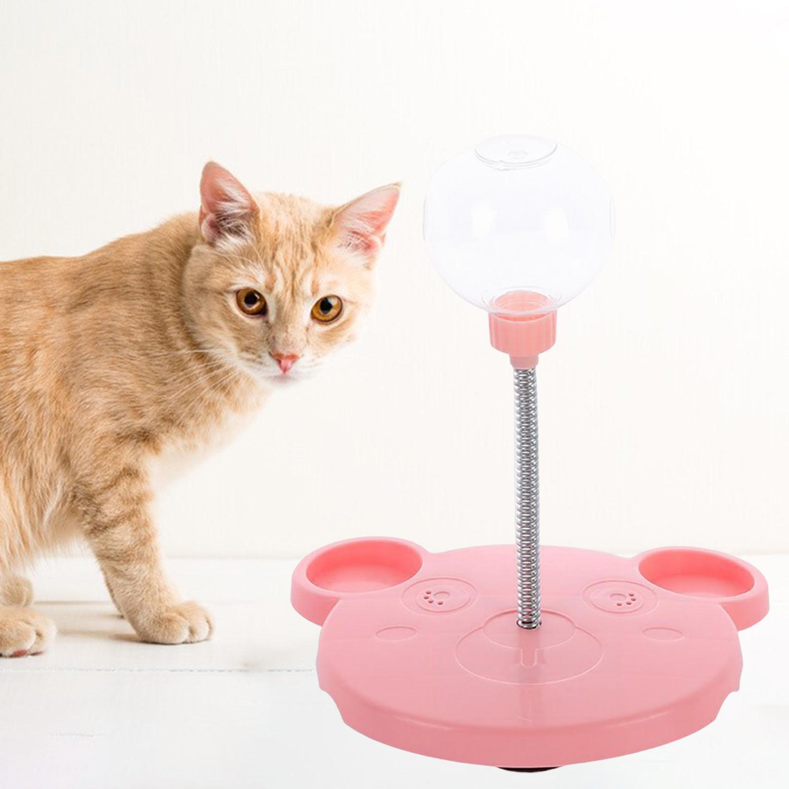 Cat Slow Feeder Toy for Pet Training Exercise