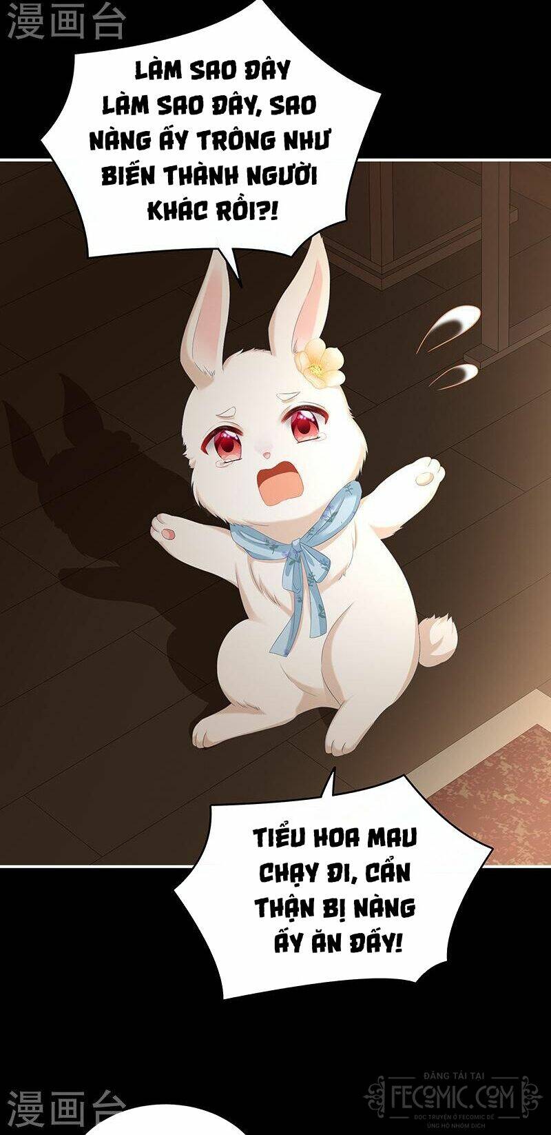 kiều phu có hỉ chapter 67 6