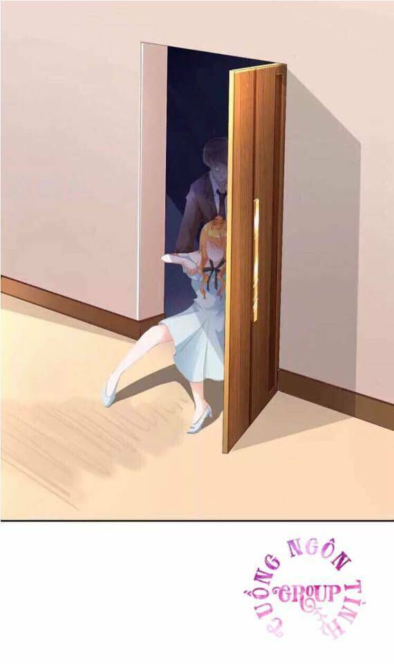 người vợ bí ẩn của tổng tài chapter 20.5 15