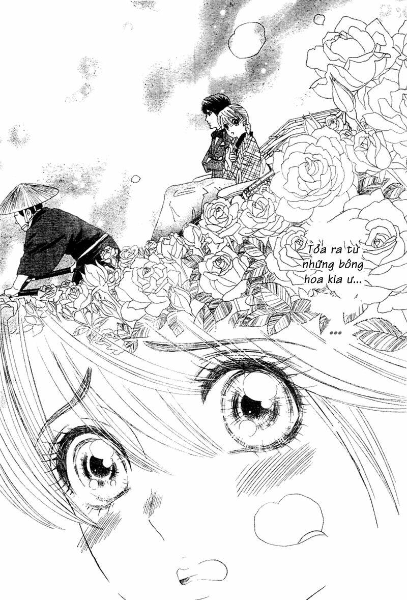 hoa hồng đỏ chapter 1 46
